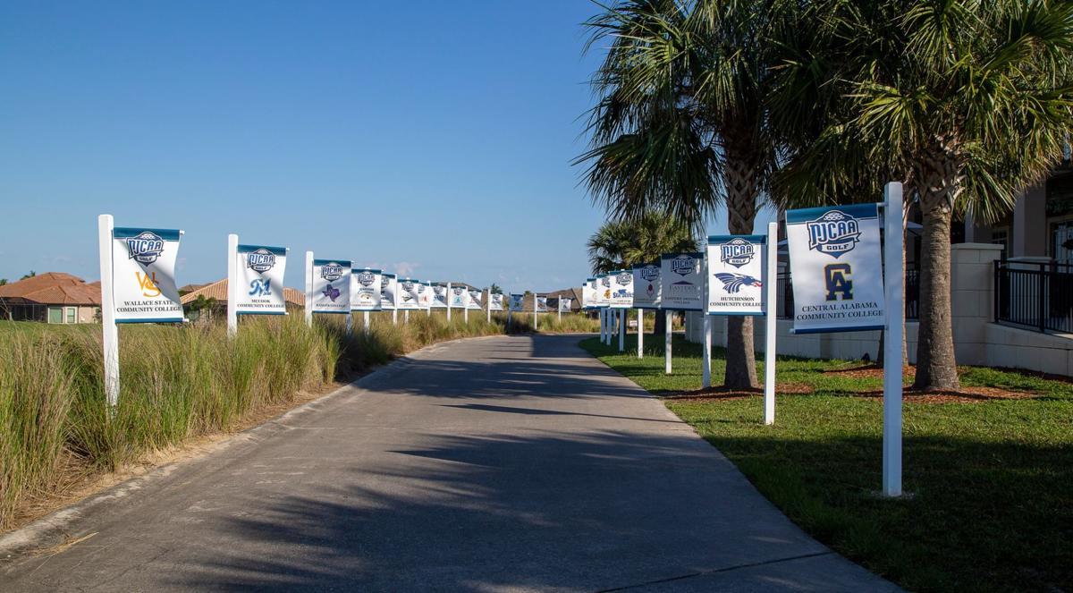 Why you should consider a junior college golf team High School Golf